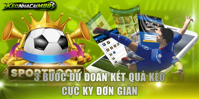 3 bước dự đoán kết quả kèo cực kỳ đơn giản