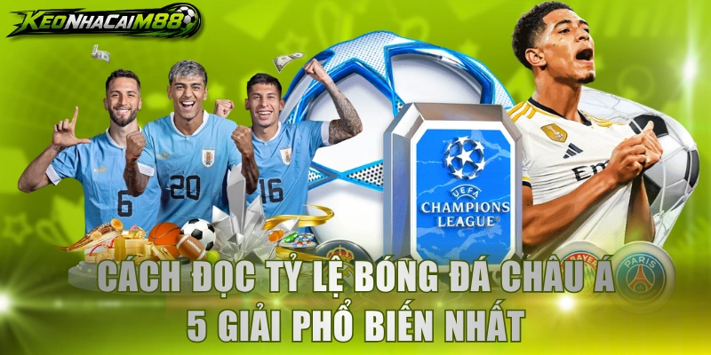 Cách đọc tỷ lệ bóng đá Châu Á 5 giải phổ biến nhất