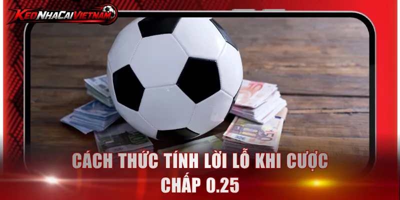 Cách thức tính lời lỗ khi cược chấp 0.25