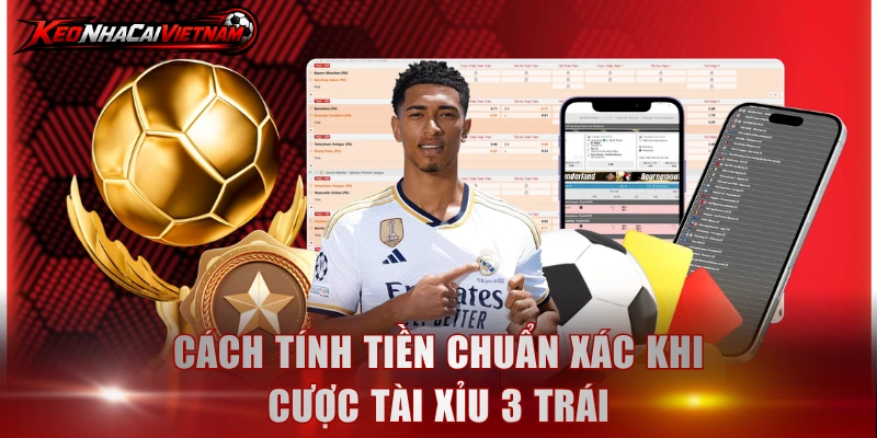 Cách tính tiền chuẩn xác khi cược tài xỉu 3 trái