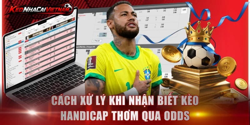 Cách xử lý khi nhận biết kèo Handicap thơm qua Odds