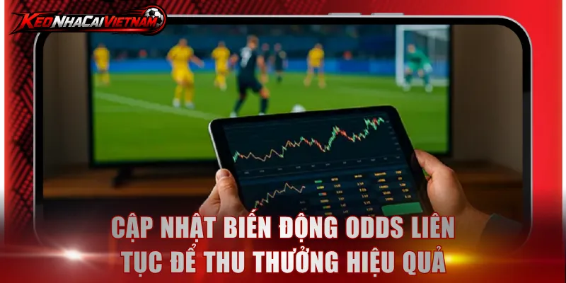 Cập nhật biến động odds liên tục để thu thưởng hiệu quả