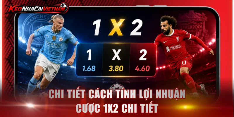 Chi tiết cách tính lợi nhuận cược 1X2 chi tiết