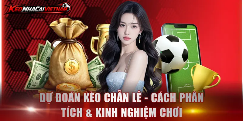 Dự đoán kèo chẵn lẻ