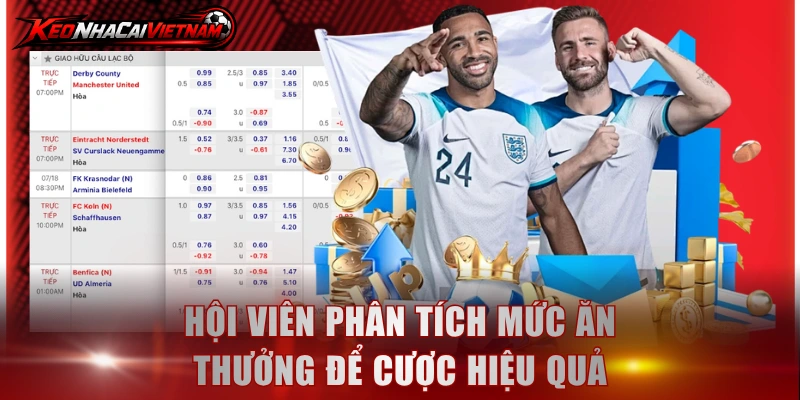 Hội viên phân tích mức ăn thưởng để cược hiệu quả