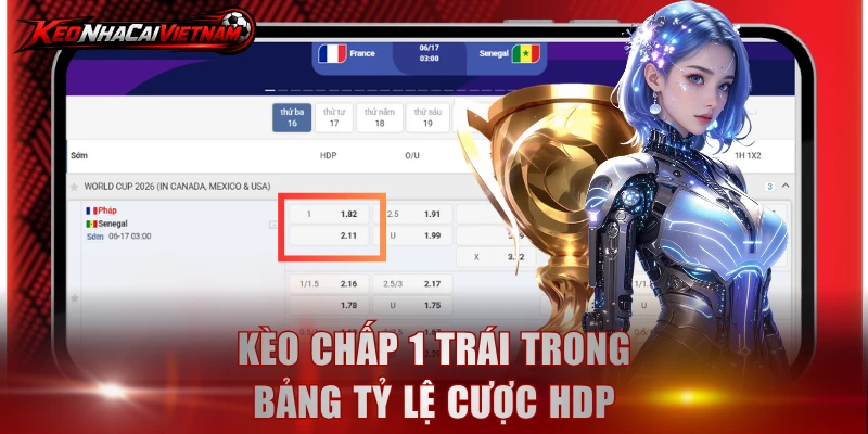 Kèo 1 trái trong bảng tỷ lệ cược HDP