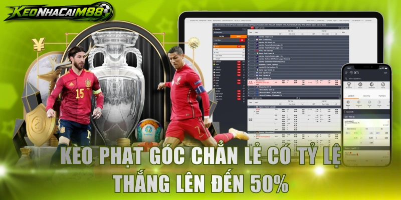 Kèo Odd/ Even Corner có tỷ lệ thắng lên đến 50%