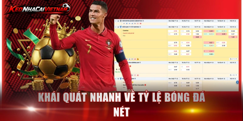 Khái quát nhanh về tỷ lệ bóng đá nét