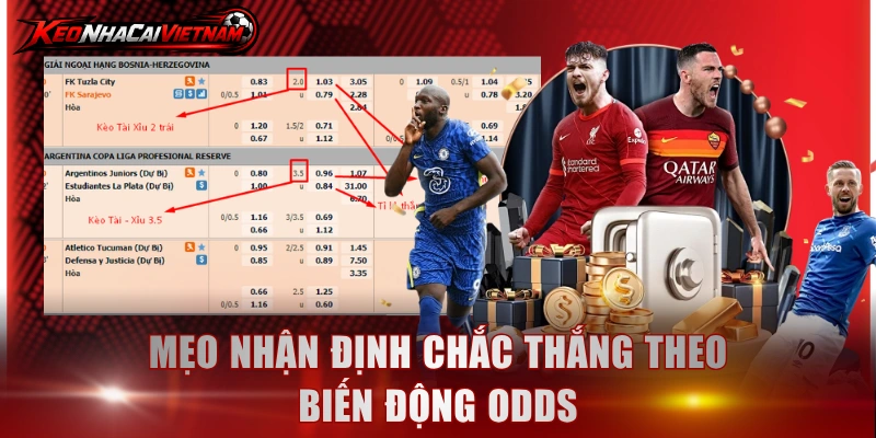 Mẹo nhận định chắc thắng theo biến động odds