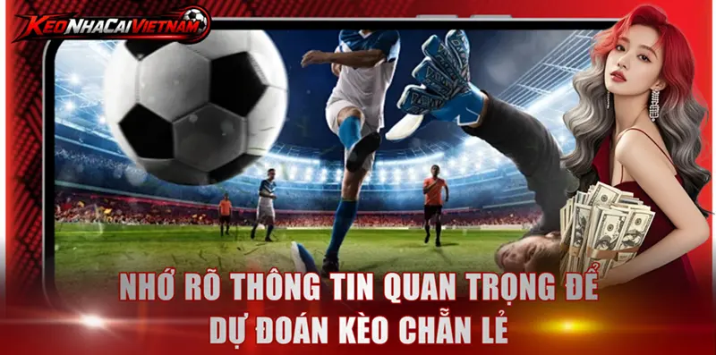 Nhớ rõ thông tin quan trọng để dự đoán kèo chẵn lẻ
