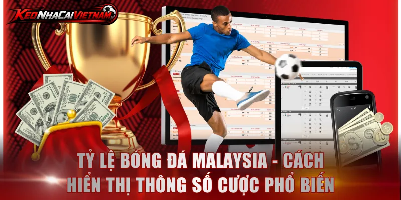 Tỷ lệ bóng đá Malaysia - Cách hiển thị thông số cược phổ biến